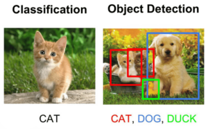 Image classification and object detection