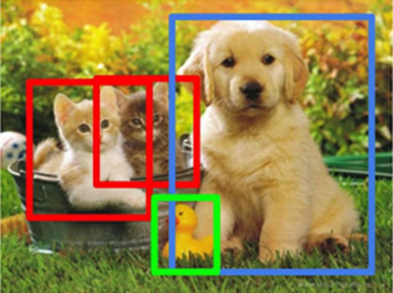Classification and object detection